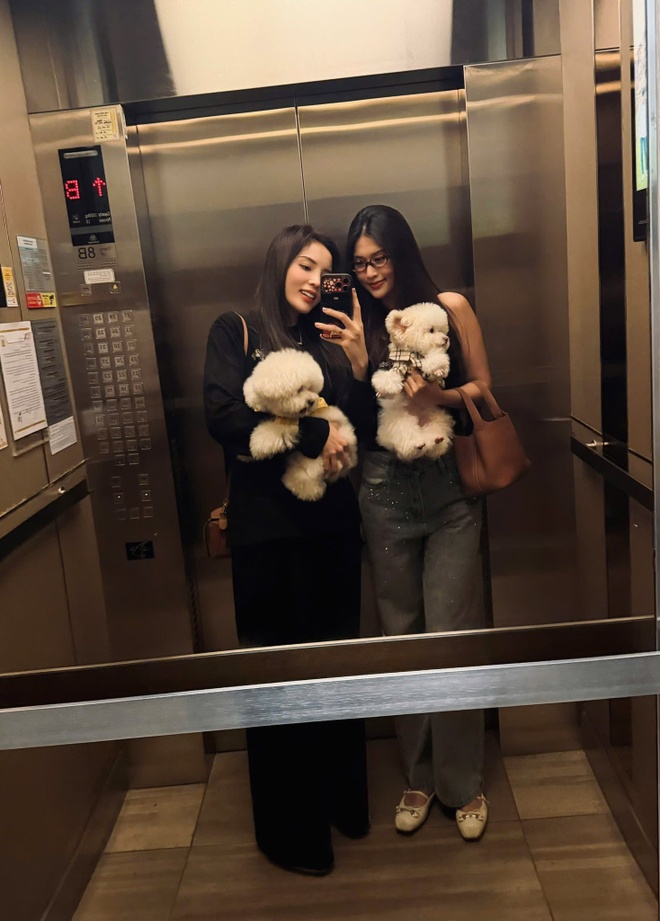 Tình trạng hiện tại của Minh Triệu- Ảnh 2.