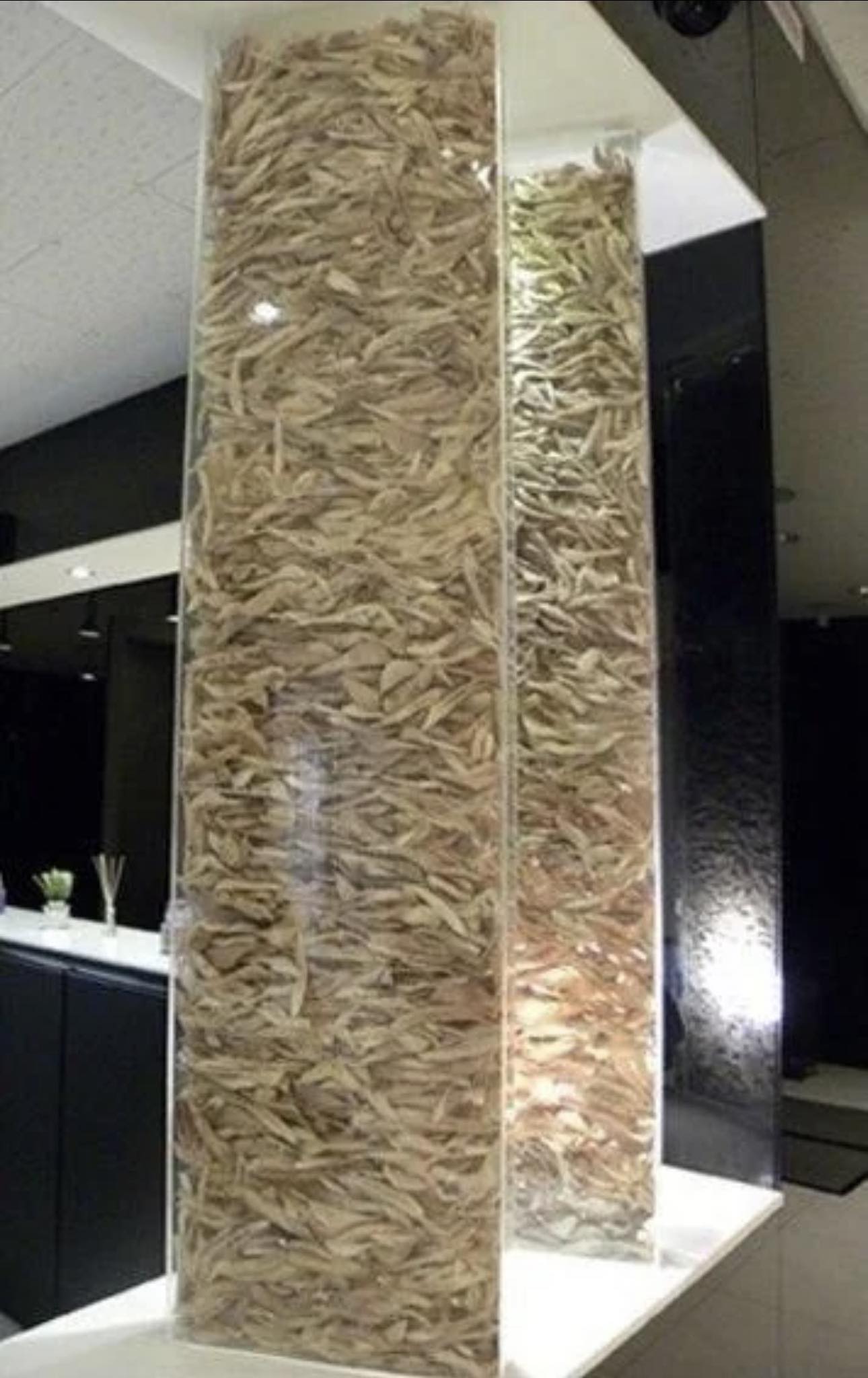 Bức ảnh khiến nhiều người sởn gai ốc tại 1 phòng khám phẫu thuật thẩm mỹ khu Gangnam Hàn Quốc- Ảnh 1.