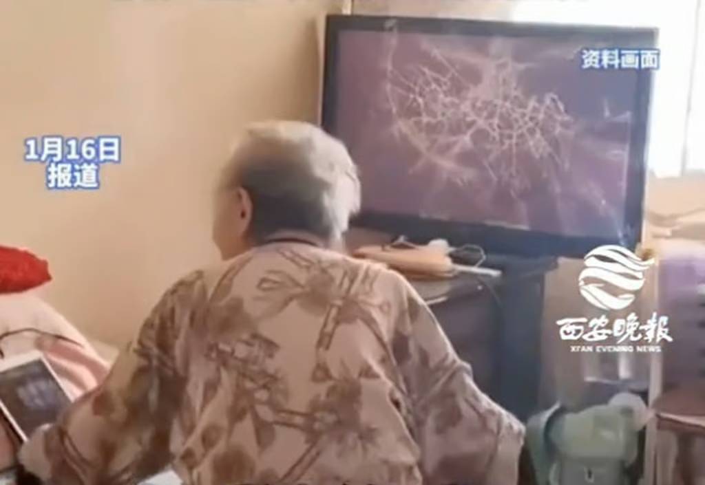 Cụ bà 91 tuổi đập vỡ tivi vì thấy nhân vật yêu thích trong phim bị bắt nạt- Ảnh 2.