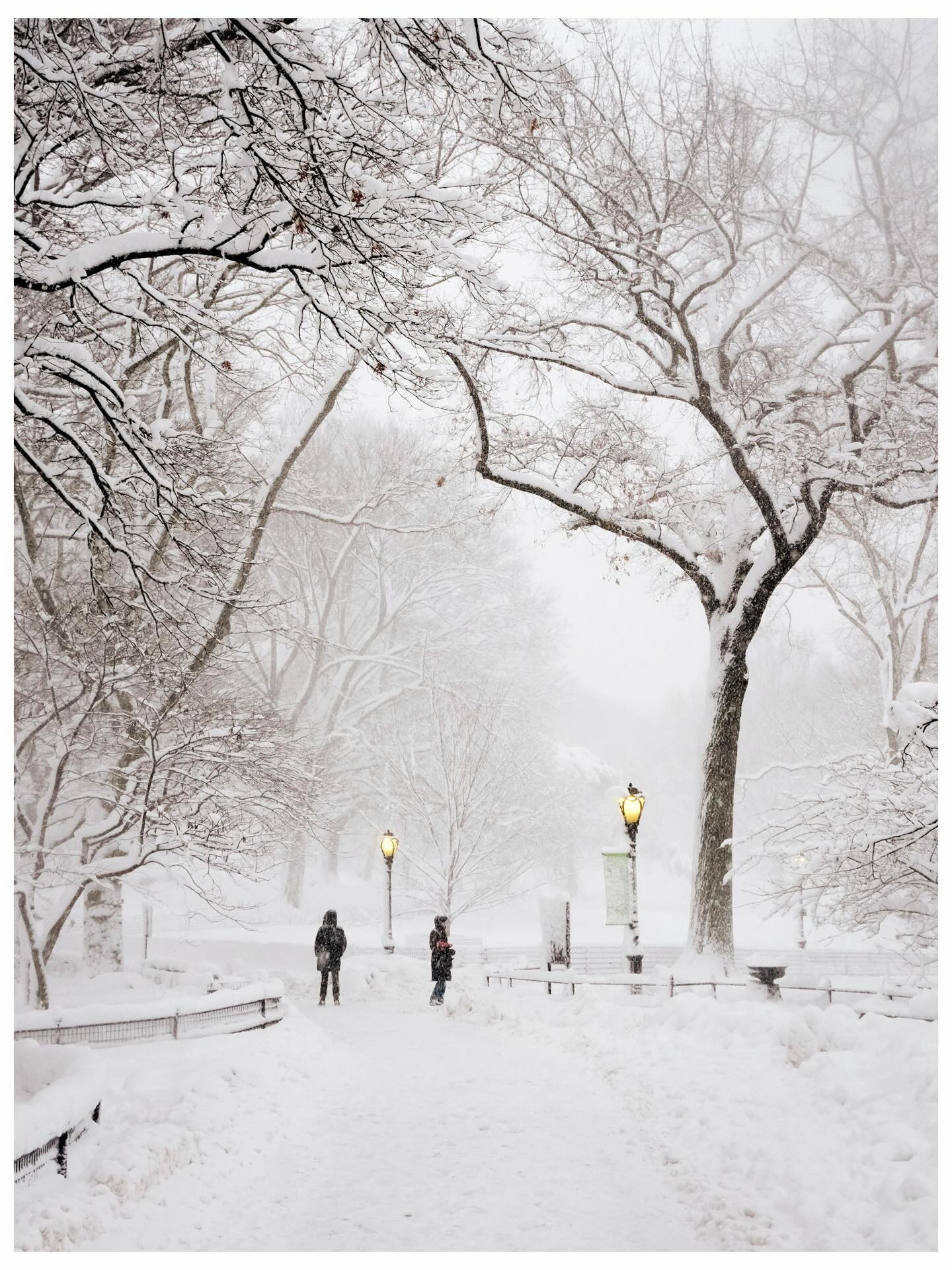 Phía sau khung cảnh New York trắng xóa như cổ tích những ngày này- Ảnh 2.