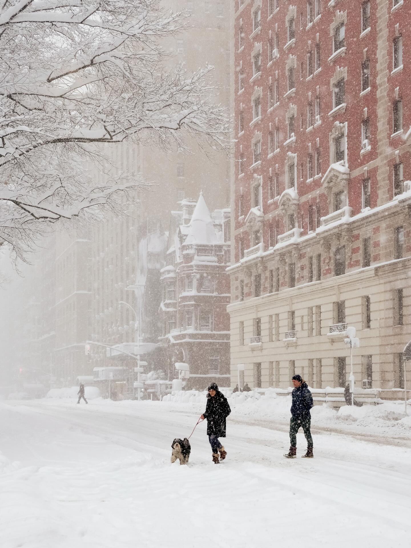 Phía sau khung cảnh New York trắng xóa như cổ tích những ngày này- Ảnh 1.