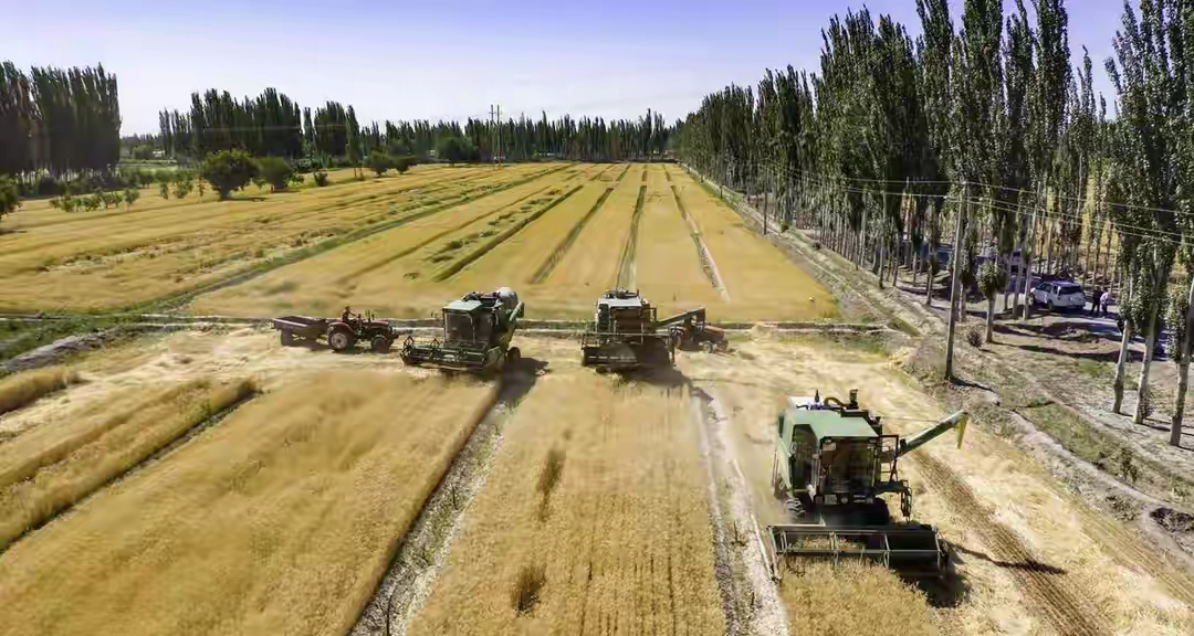 "Mỏ vàng" giữa lòng sa mạc: Quốc gia cạnh Việt Nam biến "biển tử thần" thành kho báu cho hơn 1,4 tỷ người 6bfa84da7eb2446e9ddc8a47141c1f51tplv tt origin webgif 004244 1771689681819 17716896824161023815202