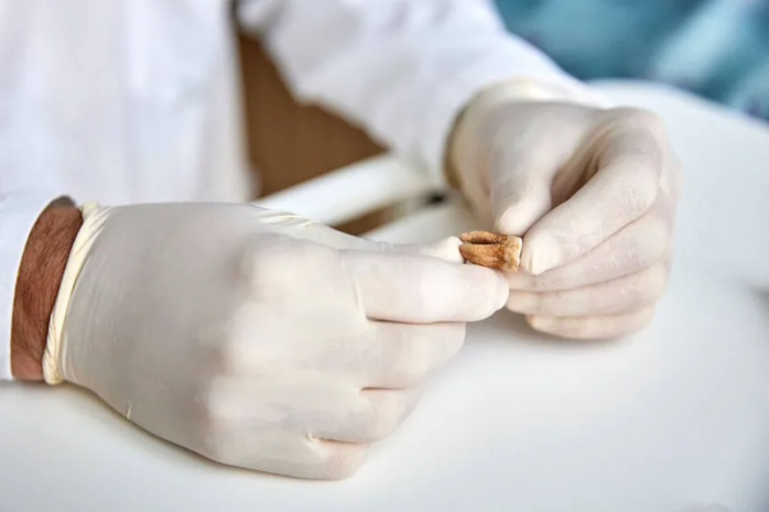 Giải mã từ Giải mã từ