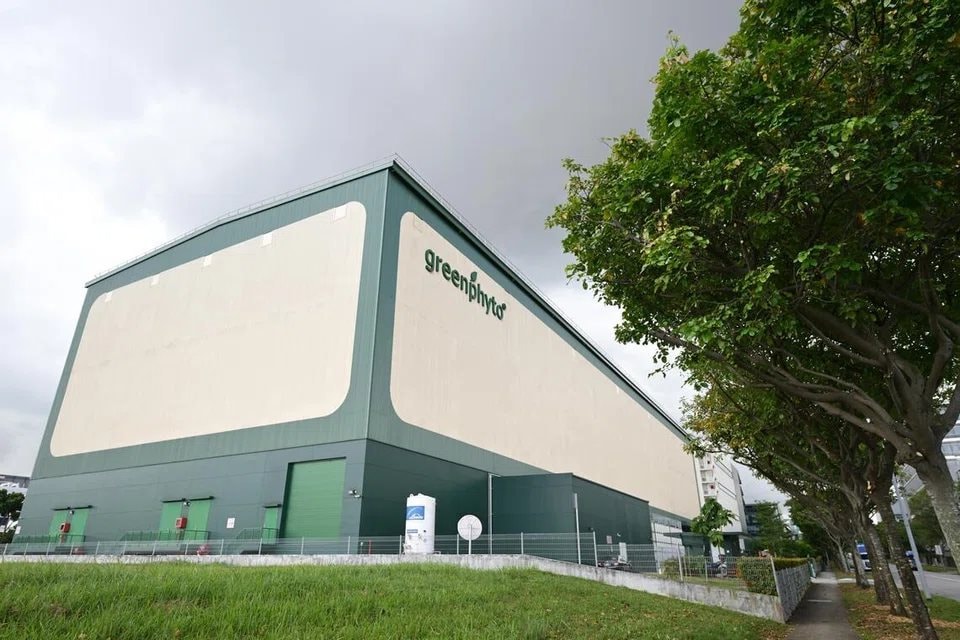 'Chung cư trồng rau' cao nhất thế giới ngay gần Việt Nam: rộng 2ha, công suất 2.000 tấn rau/năm, vận hành chỉn chu ngang nhà máy công nghệ cao- Ảnh 1.