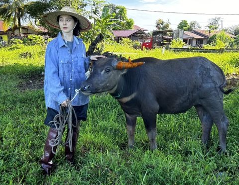 Hết cứu Phạm Băng Băng- Ảnh 5. Hết cứu Phạm Băng Băng- Ảnh 5.