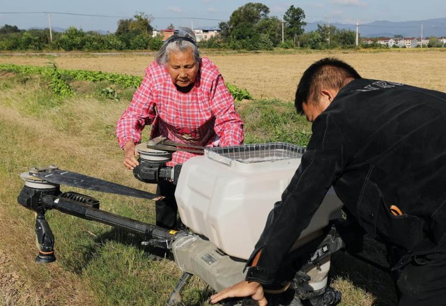 Bà ngoại 82 tuổi gây sốt mạng Trung Quốc với kỹ năng điều khiển drone nông nghiệp và bán hàng livestream- Ảnh 2.