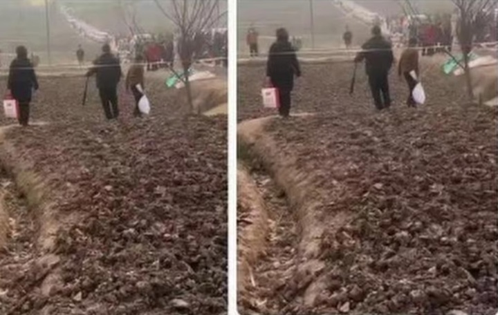 'Cơn cuồng hot girl mổ lợn Tết’ và biến tướng mua bán ‘đất may mắn’ ở Trung Quốc- Ảnh 2.