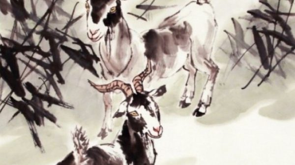 4 con giáp "ít khổ cực, nhiều an nhàn", giàu bất thình lình trong 3 năm tới adt1766385782 7256 433 thumbnail auto crop 750x563 anh cat 3 2 auto cropjpg