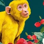 Tử vi 12 con giáp năm Bính Ngọ: Tổng quan tuổi Thân năm 2026 adt1766711834 tuoi than 3 08982 348 0 988 1024 cro anh cat 3 2 auto cropjpg