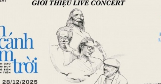 Ban tổ chức đêm nhạc “Về đây bốn cánh chim trời” có thể chịu mức phạt nào? adt1767088480 012 2405 7 n anh cat 3 2 auto cropjpg 1