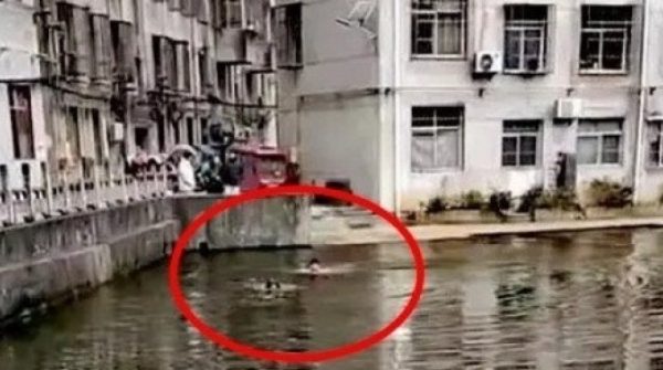 Chàng trai lao xuống ao nước sâu giữa trời lạnh, cứu sống bé trai 4 tuổi adt1767427837 chang trai lao xuong ao nuoc sau giu anh cat 3 2 auto cropjpg