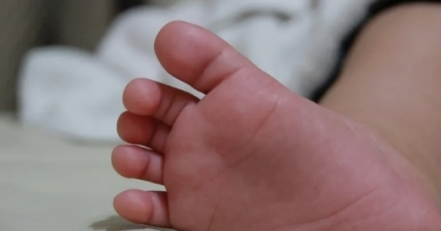 Bé 9 tháng tuổi tử vong vì mẹ bỏ ở nhà đi nhận nuôi chó adt1767433600 a nh ma n hi nh 2026 01 03 lu 2528 3 anh cat 3 2 auto croppng 1