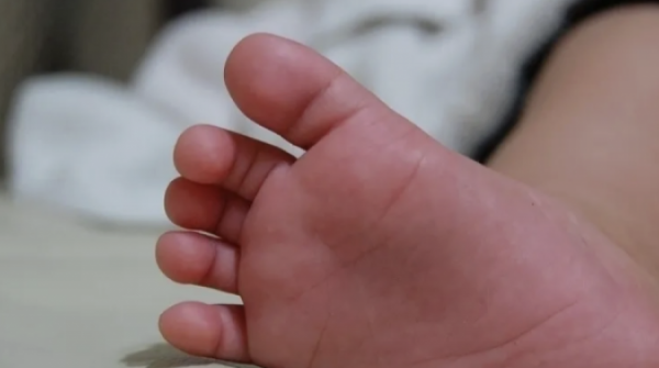 Bé 9 tháng tuổi tử vong vì mẹ bỏ ở nhà đi nhận nuôi chó adt1767433600 a nh ma n hi nh 2026 01 03 lu 2528 3 anh cat 3 2 auto croppng