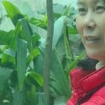 Những thói quen giúp tôi sống an yên với lương 7 triệu đồng sau khi nghỉ hưu adt1768030487 nghi huu 82047 0 0 336 538 crop 8585 anh cat 3 2 auto cropjpg