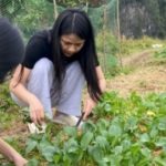 Bỏ phố về quê - Trào lưu không dành cho số đông adt1768201298 que 2 anh cat 3 2 auto cropjpg