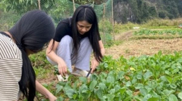 Bỏ phố về quê - Trào lưu không dành cho số đông adt1768201298 que 2 anh cat 3 2 auto cropjpg