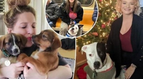 Chán ngấy hẹn hò online, nhiều phụ nữ 'thà dắt chó đi dạo còn hơn yêu đương' adt1768206102 711f47de28466bf3c0b898b2af921f6d 20 anh cat 3 2 auto cropjpeg