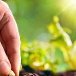 Tại sao bạn nỗ lực mãi không giàu?: Hãy đọc 7 quy luật này trước khi quá muộn adt1768465173 quyluatgieohat 3 0 05328 0 0 383 612 anh cat 3 2 auto cropjpg