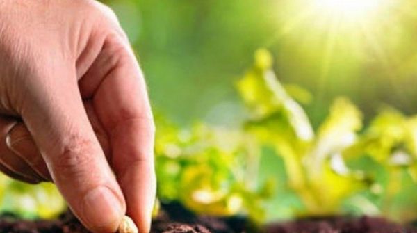 Tại sao bạn nỗ lực mãi không giàu?: Hãy đọc 7 quy luật này trước khi quá muộn adt1768465173 quyluatgieohat 3 0 05328 0 0 383 612 anh cat 3 2 auto cropjpg