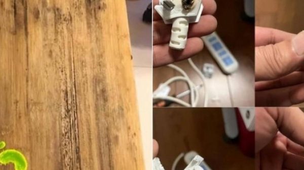 5 thứ nên vứt bỏ khi dọn nhà đón năm mới adt1770263643 nyt 4054 5617 4158 anh cat 3 2 auto cropjpg