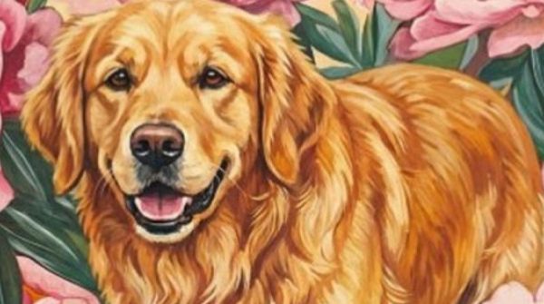 3 con giáp được sao Hồng Loan, Thiên Hỷ chiếu mệnh năm 2026: Tình duyên bùng nổ, hạnh phúc ngọt ngào adt1770553037 con giap 4 347 40 0 358 508 crop 859 anh cat 3 2 auto cropjpg