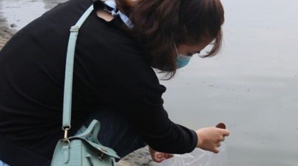 Những sai lầm khi thả cá chép tiễn Táo quân nhiều người mắc phải adt1770683926 tha ca vang 8 3 14887 57 0 497 704 c anh cat 3 2 auto cropjpeg