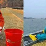 8X bỏ công việc quản lý ở thành phố, về đảo vắng ở vì quá áp lực adt1770698201 boviec1a 1201 1384 9341 1763 anh cat 3 2 auto cropjpg