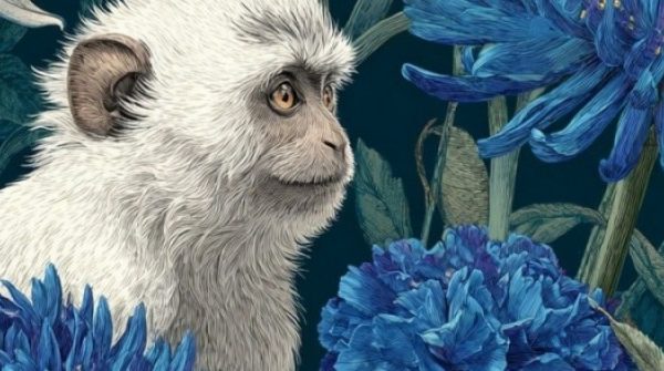 Top con giáp vượng đường quan lộ nhất năm 2026: Thời tới, vận mở, lộc vào như nước adt1770946124 con giap 4 27247 135 0 775 1024 crop anh cat 3 2 auto cropjpg