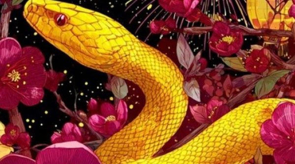 Vận may đến muộn nhưng đáng giá: 4 con giáp có cú lội ngược dòng đẹp nhất năm 2026 adt1771289978 con giap 38900 45 0 445 640 crop 924 anh cat 3 2 auto cropjpg