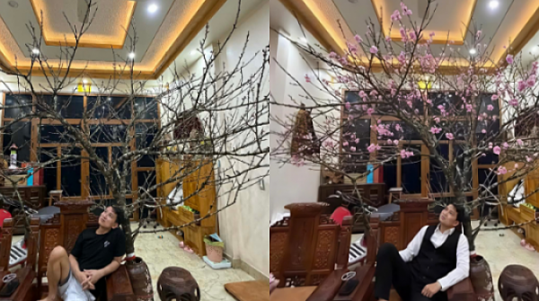 Vợ 9X gây sốt khi 'trách' chồng mua cành đào 17 triệu đồng như củi khô adt1771306199 thitkchactn3 5104 5558 4709 5391 anh cat 3 2 auto croppng