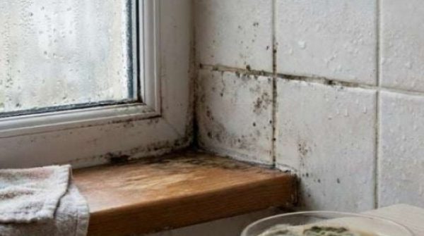 8 bí quyết chống nồm tại nhà không tốn tiền, ai cũng có thể làm được 28 8 bí quyết chống nồm tại nhà không tốn tiền, ai cũng có thể làm được adt1771920097 cach chong nom khong ton tien tai nh anh cat 3 2 auto cropjpg