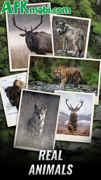 So tài săn thú trong game hành động bắn súng trực tuyến Trophy Hunter 2