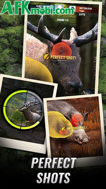 So tài săn thú trong game hành động bắn súng trực tuyến Trophy Hunter 3