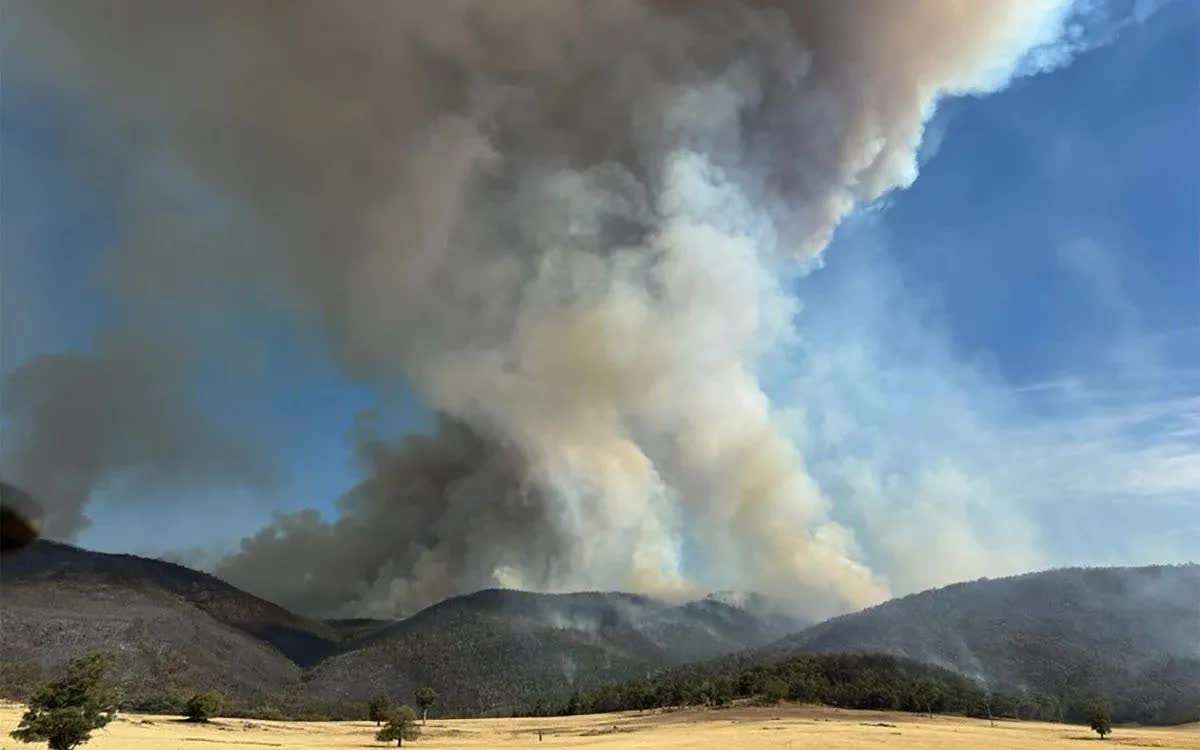 Australia ban bố tình trạng thảm họa về cháy rừng- Ảnh 2.