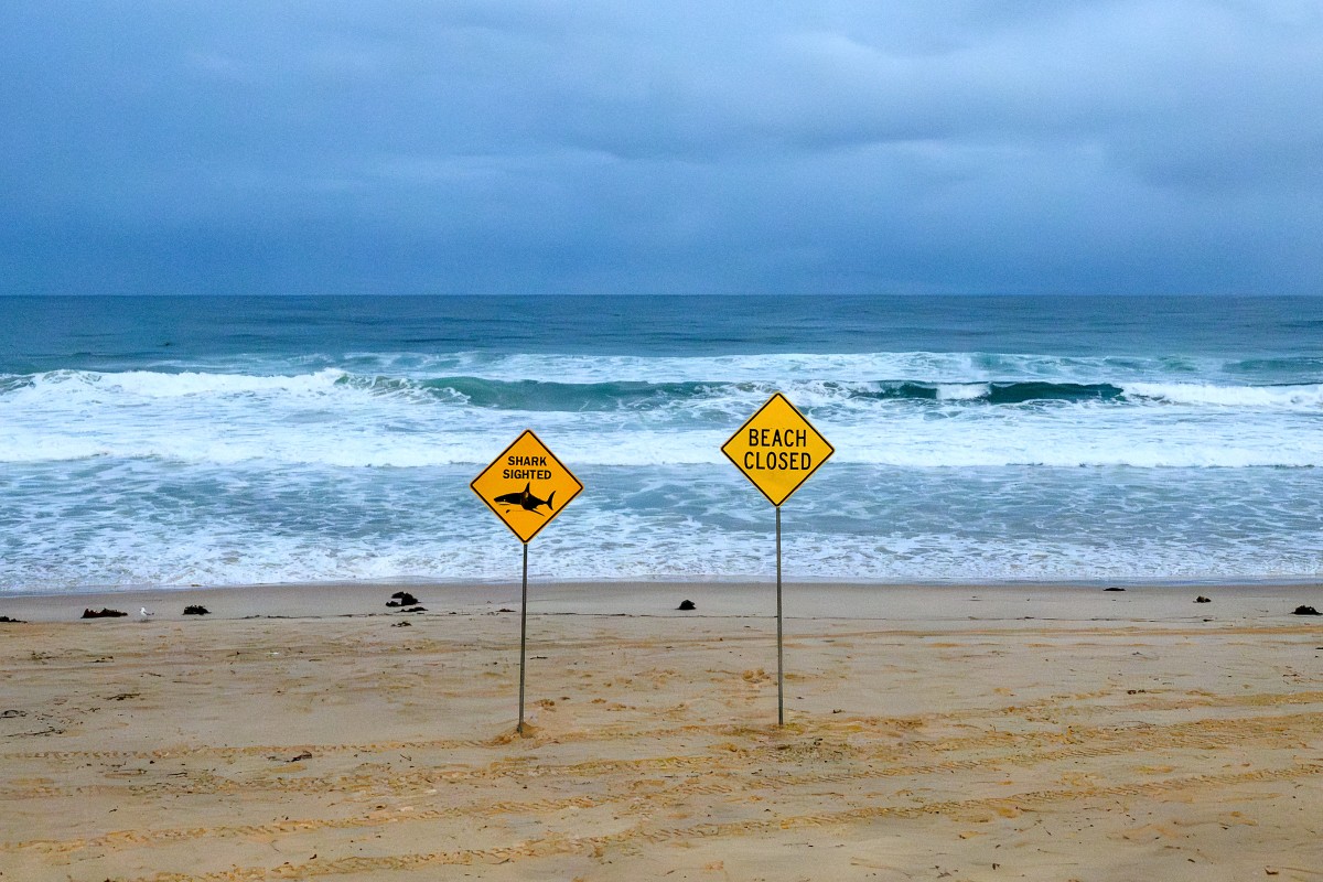 Cá mập tấn công người liên tiếp, Australia đóng cửa 40 bãi biển- Ảnh 2.