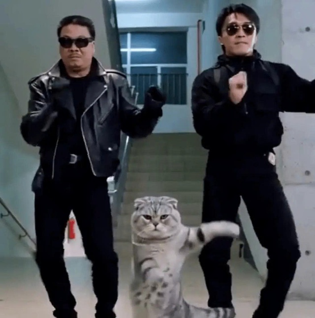 "Vua hài" Châu Tinh Trì trở thành nạn nhân số 1 của AI anh 2 17708062428781130303066 1770969033528 17709690337521888597582