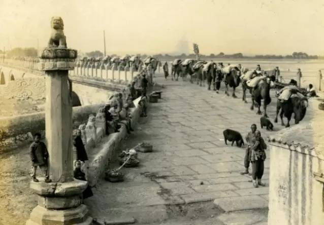 13 bức ảnh hiếm về Tết đầu thời nhà Thanh: Khung cảnh thật khiến nhiều người nghi ngờ phim truyền hình- Ảnh 5.