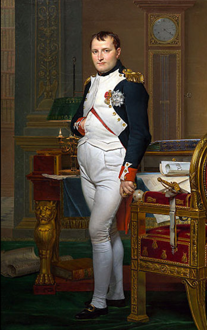 Napoleon Bonaparte: Từ thiếu niên bị bắt nạt đến thiên tài quân sự thế giới- Ảnh 1. Napoleon Bonaparte: Từ thiếu niên bị bắt nạt đến thiên tài quân sự thế giới- Ảnh 1.