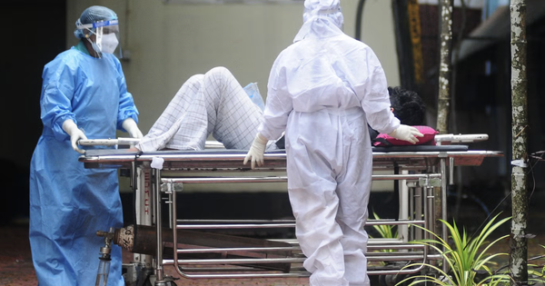 Nguy cơ bùng phát dịch bệnh mới từ 1 loại virus lây từ dơi sang người, chưa có vaccine hoặc bất kỳ phương pháp điều trị nào anh chup man hinh 2026 01 24 luc 220805 17692672954711810542060 369 123 1530 1980 crop 17692673127581938810628png