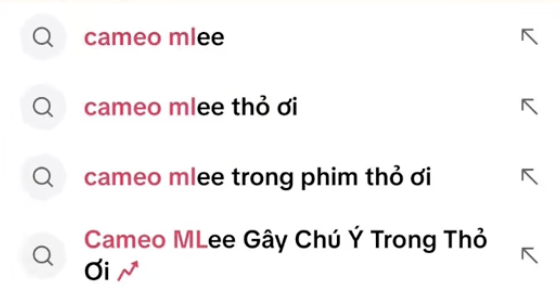 Mỹ nhân cao 1m76 bí ẩn trong Thỏ Ơi!! của Trấn Thành đang náo loạn hot search là ai?- Ảnh 2.