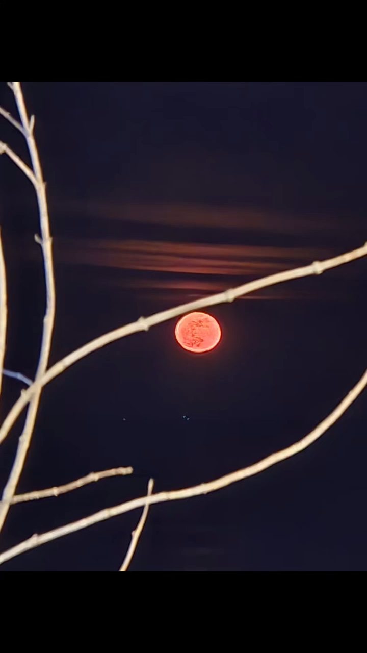 Rùng mình trước thông điệp của nam thần Cười Lên Dong Hae trước khi qua đời- Ảnh 2.