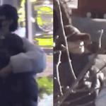 Tóm gọn cảnh hẹn hò tình tứ của cặp diễn viên trẻ, còn đút cho nhau ăn giữa phố av 17698399720311013874079 0 0 352 672 crop 17698399849592140019030gifpng