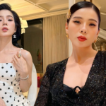 Lệ Quyên tự vệ hay tự hủy? ava 14 17682850856411636638040 0 0 251 480 crop 17682850983011424084932png