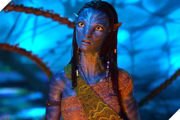 Hình ảnh về phim