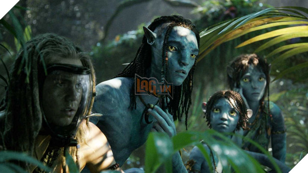 Hình ảnh về phim