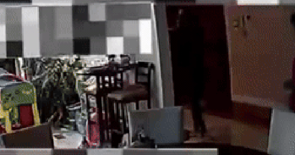 Đài truyền hình quốc gia cắt sóng triệt để nữ diễn viên K. đình đám lắm phốt avatar1729591491612 1729591492024946441407 0 10 158 263 crop 17295915483351174001090 1769407594960507030944 0 0 132 253 crop 1769407608524598762838gifpng