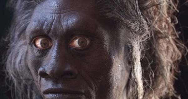 Vì sao loài người từng sống song song chúng ta ở Indonesia biến mất? avatar1765348728533 17653487289921668383972png