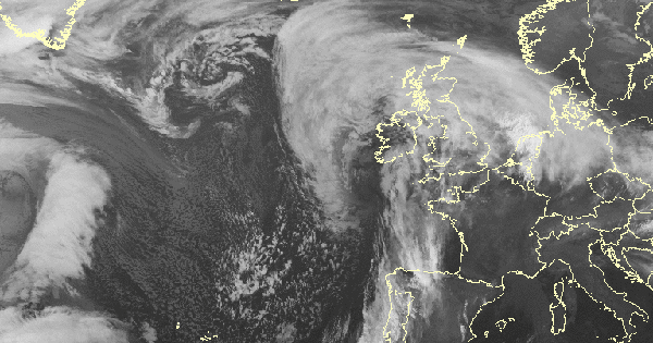 Cảnh báo ĐỎ: Cơn bão mới giật 160 km/h hoành hành, trường học đóng cửa, chuyến bay bị hủy hàng loạt avatar1765357712537 17653577131201532070273 115 0 595 768 crop 1765357735887262278936gifpng