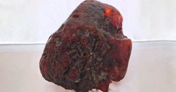 Hòn đá chặn cửa bất ngờ hóa thành bảo vật triệu đô avatar1765363804636 17653638049747550885jpg