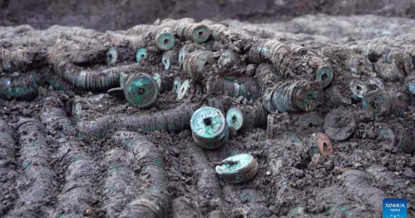 Phát hiện kho báu nặng 1,5 tấn gồm hàng triệu vật thể "xâu thành chuỗi", có màu xanh lục dưới hố sâu 0,5m avatar1765437685428 1765437685915585851949jpg